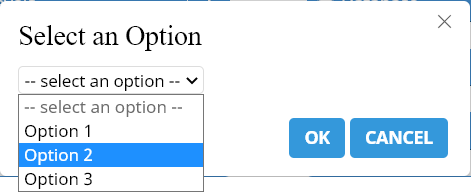 select_option.png